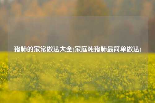 猪肺的家常做法大全(家庭炖猪肺最简单做法)
