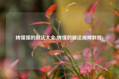 烤馍馍的做法大全(烤馍的做法视频教程)