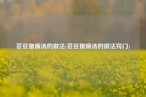 芸豆猪蹄汤的做法(芸豆猪蹄汤的做法窍门)