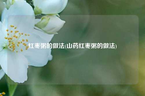 红枣粥的做法(山药红枣粥的做法)