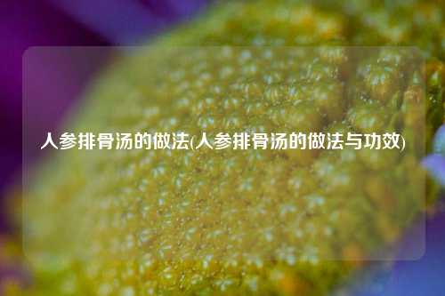 人参排骨汤的做法(人参排骨汤的做法与功效)