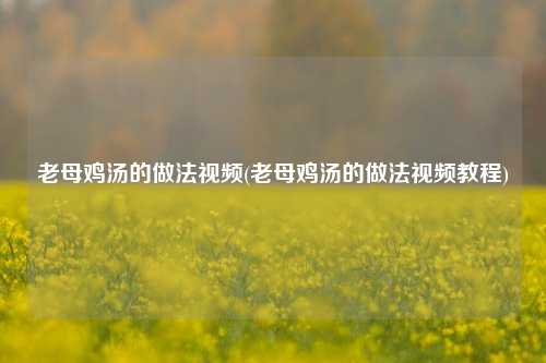 老母鸡汤的做法视频(老母鸡汤的做法视频教程)