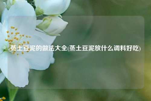 蒸土豆泥的做法大全(蒸土豆泥放什么调料好吃)
