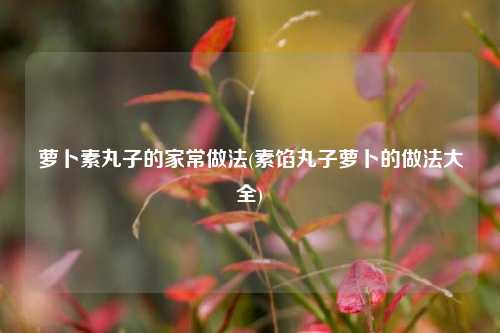 萝卜素丸子的家常做法(素馅丸子萝卜的做法大全)
