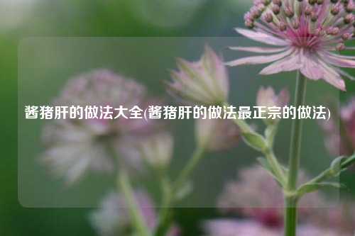 酱猪肝的做法大全(酱猪肝的做法最正宗的做法)