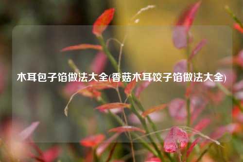 木耳包子馅做法大全(香菇木耳饺子馅做法大全)