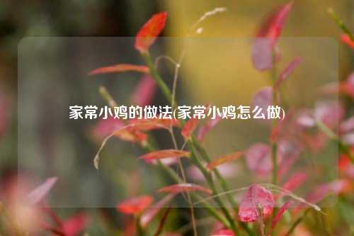 家常小鸡的做法(家常小鸡怎么做)