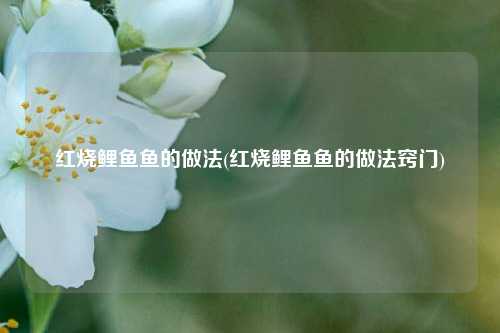 红烧鲤鱼鱼的做法(红烧鲤鱼鱼的做法窍门)