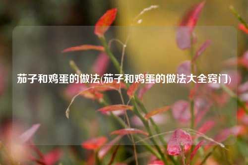 茄子和鸡蛋的做法(茄子和鸡蛋的做法大全窍门)