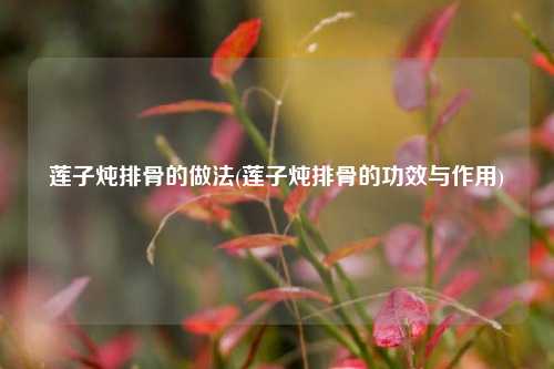 莲子炖排骨的做法(莲子炖排骨的功效与作用)