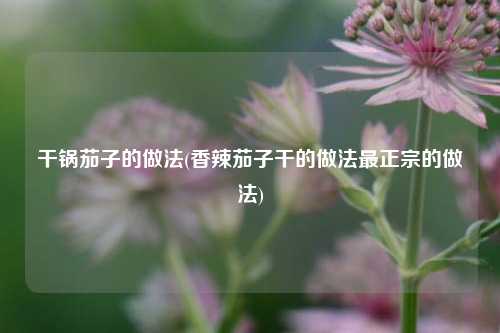 干锅茄子的做法(香辣茄子干的做法最正宗的做法)