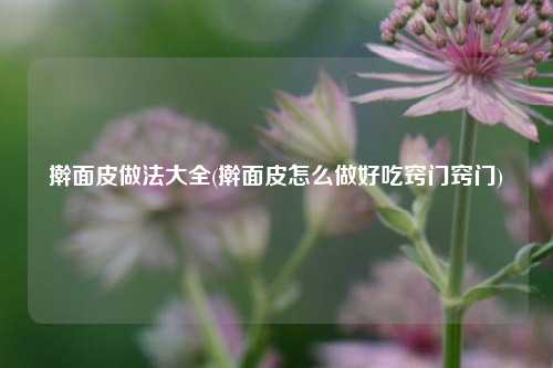 擀面皮做法大全(擀面皮怎么做好吃窍门窍门)