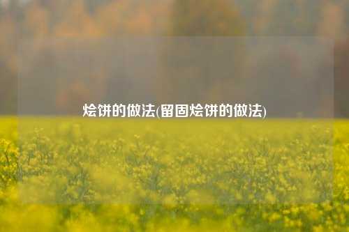烩饼的做法(留固烩饼的做法)
