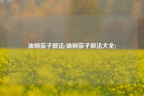 油焖茄子做法(油焖茄子做法大全)