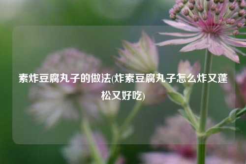 素炸豆腐丸子的做法(炸素豆腐丸子怎么炸又蓬松又好吃)