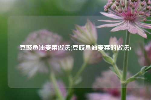 豆豉鱼油麦菜做法(豆豉鱼油麦菜的做法)
