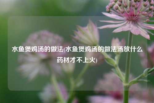 水鱼煲鸡汤的做法(水鱼煲鸡汤的做法汤放什么药材才不上火)