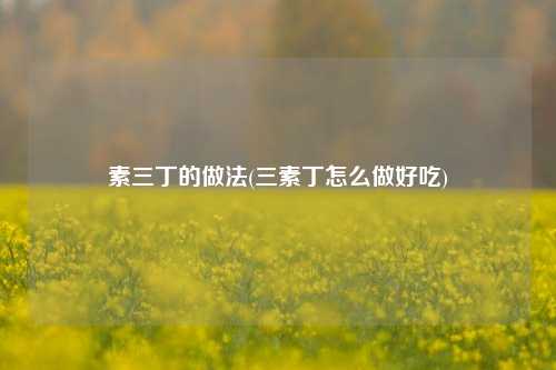 素三丁的做法(三素丁怎么做好吃)