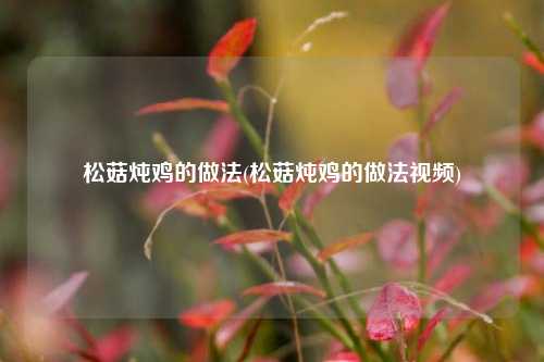 松菇炖鸡的做法(松菇炖鸡的做法视频)
